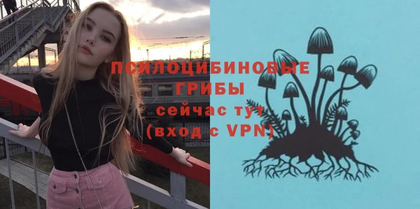 МДПВ Абинск
