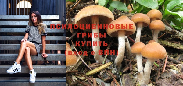 прущая мука Абдулино