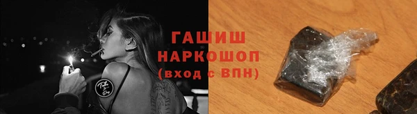 хмурый Абаза