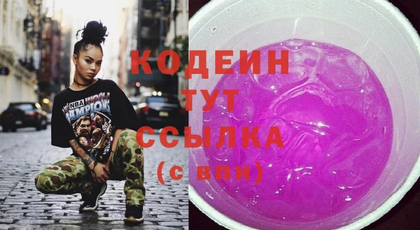 хмурый Абаза