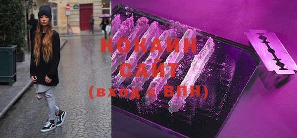 хмурый Абаза