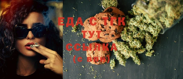 хмурый Абаза